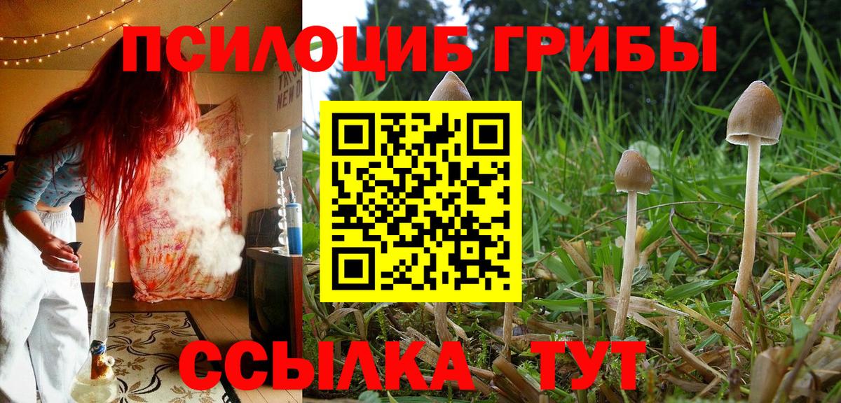 Нижний Новгород  Галлюциногенные грибы Magic Shrooms  Вход с VPN  Псилоцибиновые грибы ЛСД 