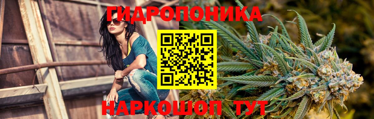 Бошки марихуана ГИДРОПОН Нижний Новгород